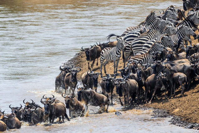 Tanzania Mainland