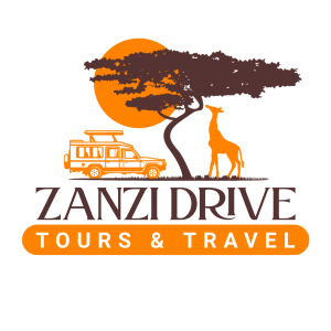 zanzidrive