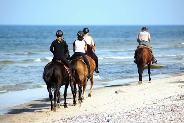 horseback ridding